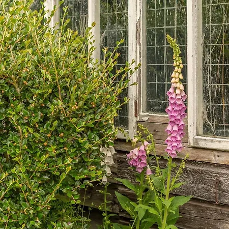 Beadale Ampleforth